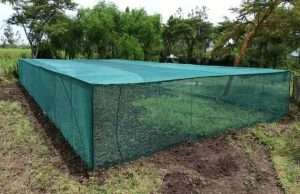 Shade nets in Kenya 7 75% Shade house