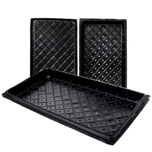 Hydroponic trays in Kenya